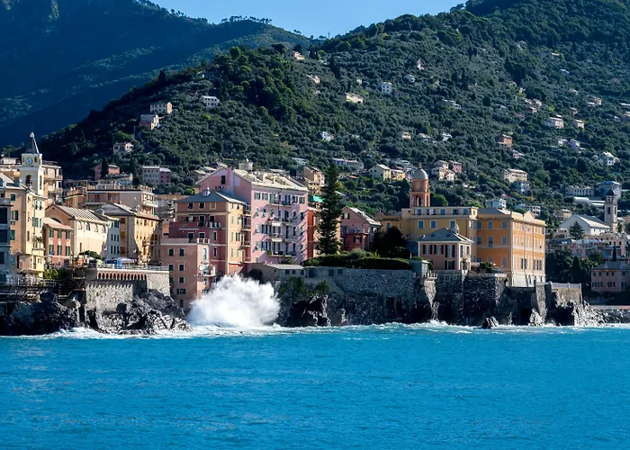 hotels near 
