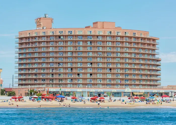 hotels near 