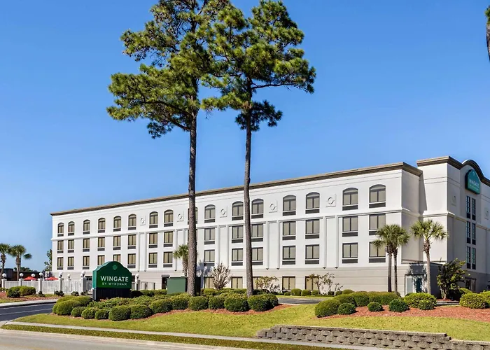 hotels near 