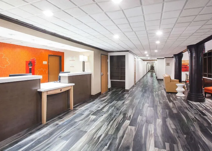 hotels near 