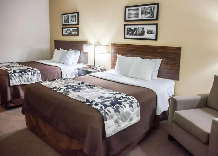 hotels near 