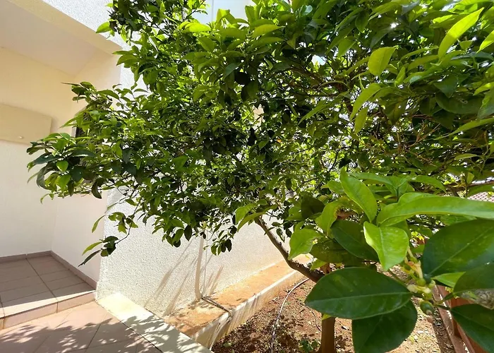 Paphos Villas with private pool