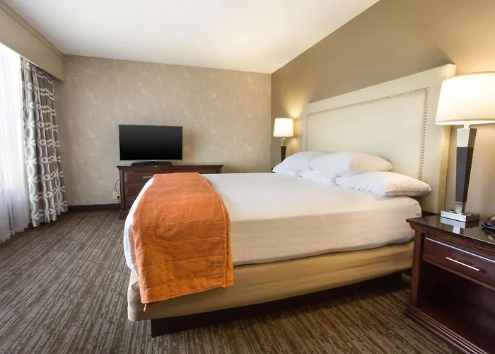 hotels near 