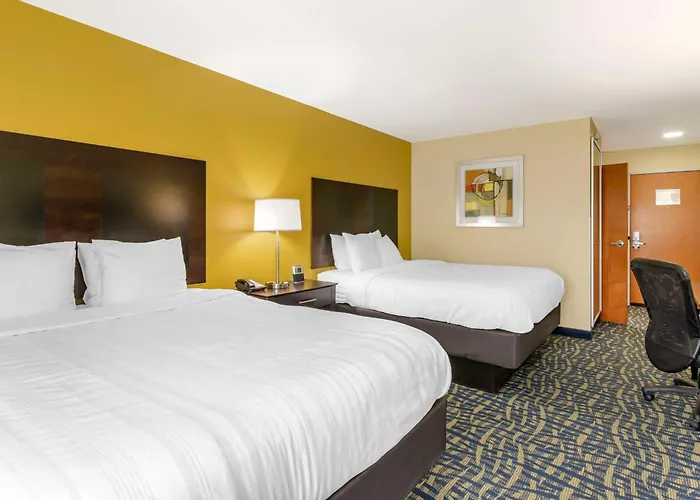 hotels near 
