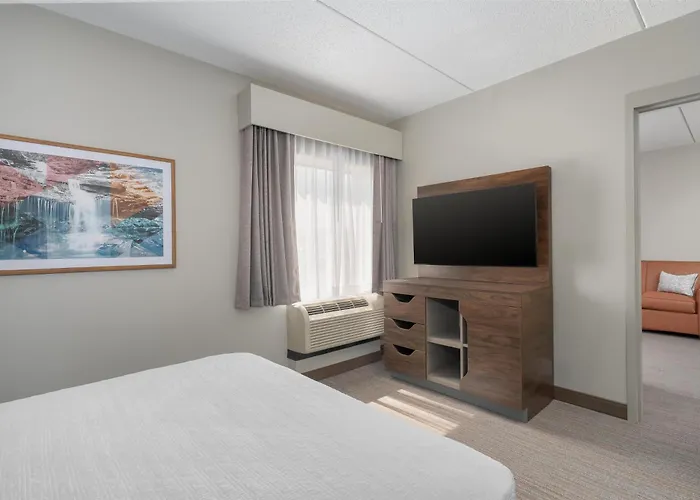 hotels near 