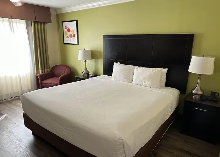 hotels near 