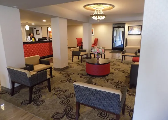 hotels near 