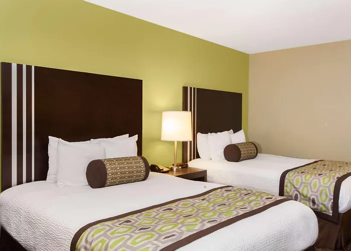 hotels near 