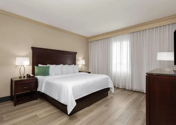 hotels near 