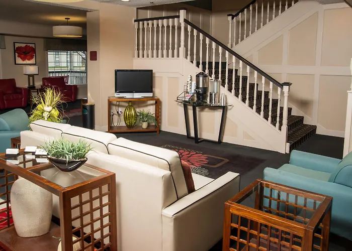 hotels near 