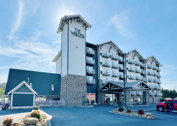 hotels near 