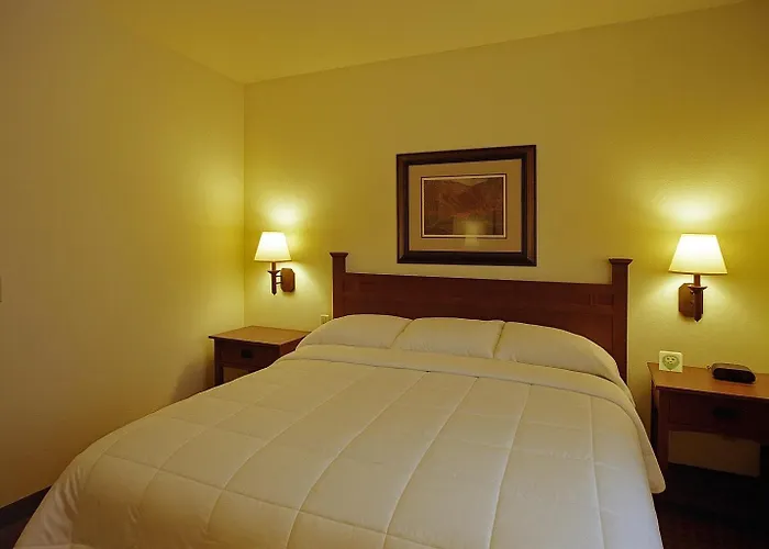 hotels near 