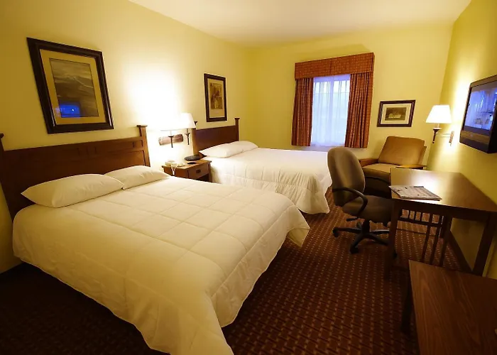 hotels near 