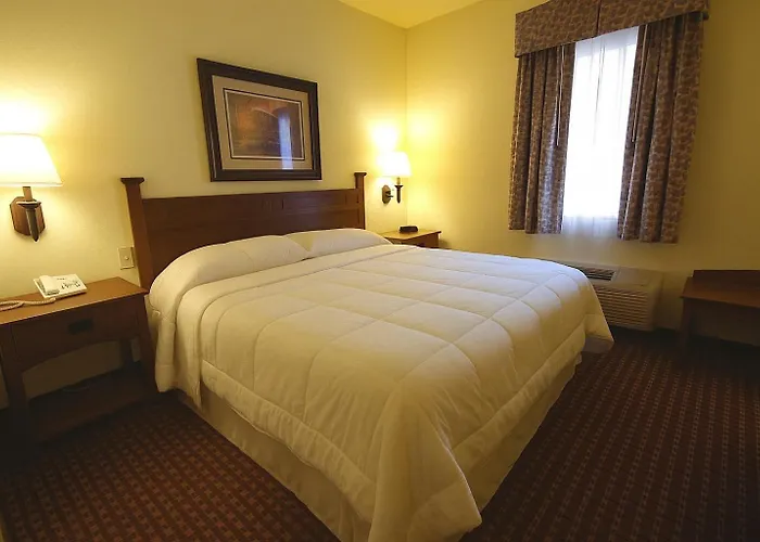 hotels near 