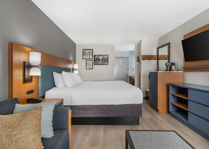 hotels near 