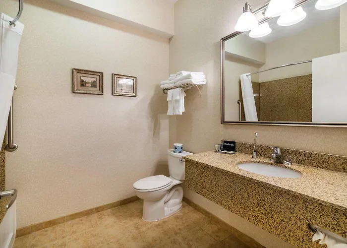 hotels near 