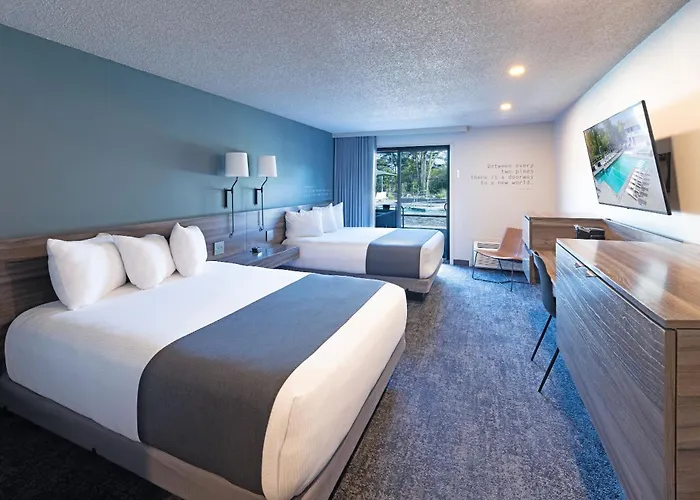 hotels near 