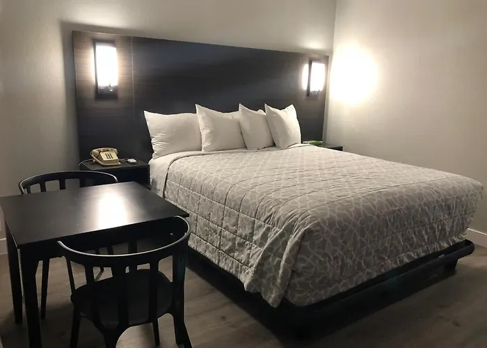 hotels near 